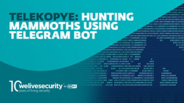 ESET Researchers Uncover Behind the Scenes of Telekopye: A Sophisticated Toolkit Powering Online Scams